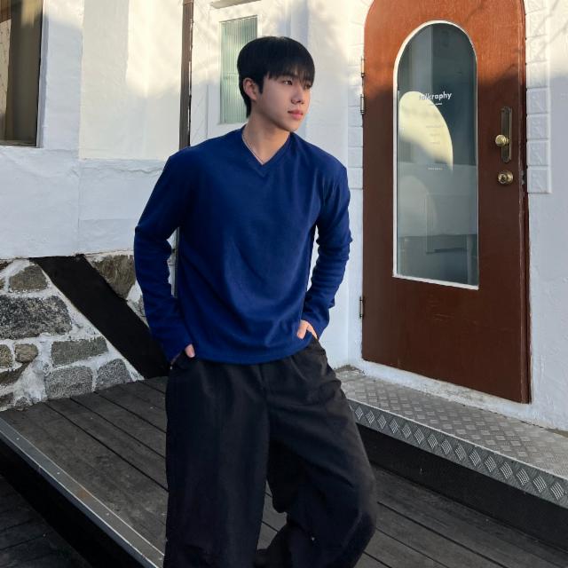 위젤 크롭 브이넥 긴팔 4color