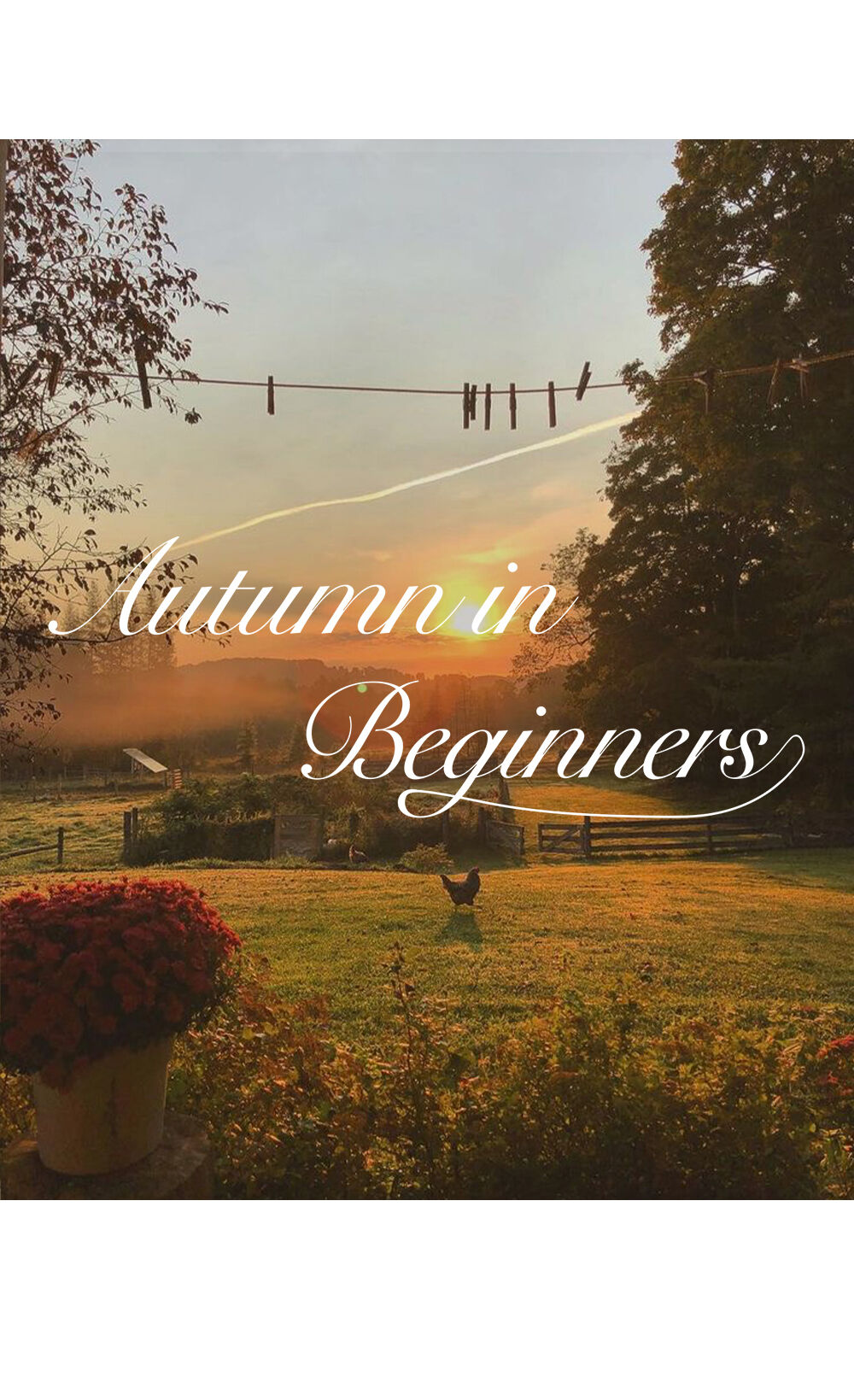 product detail image