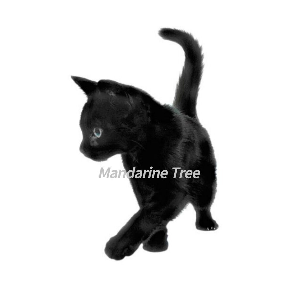 Image: https://image.brandi.co.kr/cproductdetail/2024/02/06/7b0774b50294a7446210a7e9124eb0df.jpg