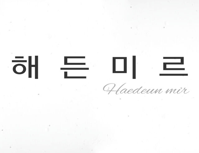 해든미르